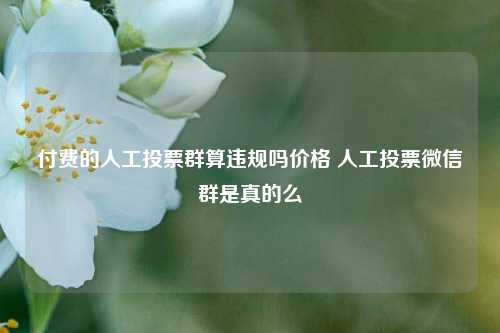 付费的人工投票群算违规吗价格 人工投票微信群是真的么