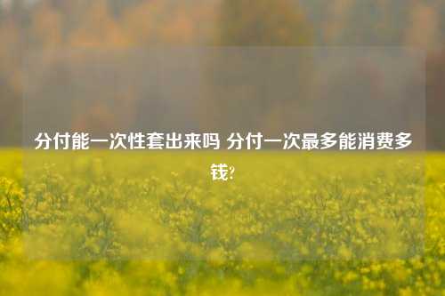 分付能一次性套出来吗 分付一次最多能消费多钱?