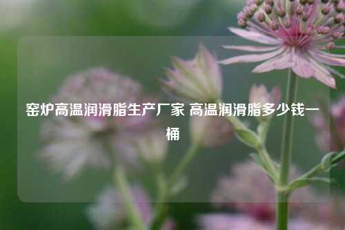 窑炉高温润滑脂生产厂家 高温润滑脂多少钱一桶