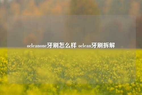 ocleanone牙刷怎么样 oclean牙刷拆解