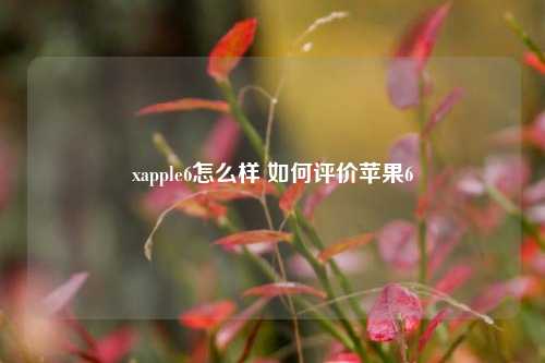 xapple6怎么样 如何评价苹果6