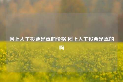 网上人工投票是真的价格 网上人工投票是真的吗