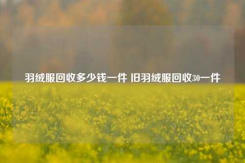 羽绒服回收多少钱一件 旧羽绒服回收30一件