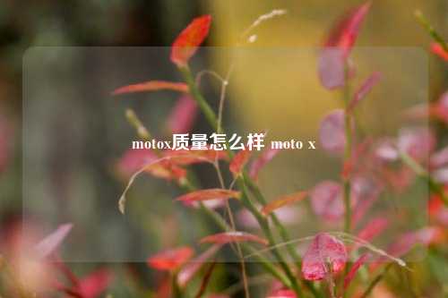 motox质量怎么样 moto x