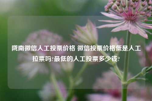 陇南微信人工投票价格 微信投票价格低是人工拉票吗?最低的人工投票多少钱?