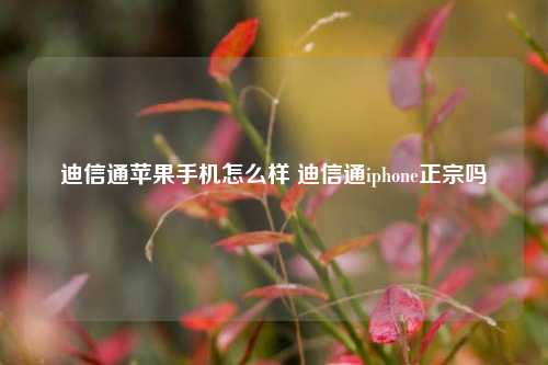 迪信通苹果手机怎么样 迪信通iphone正宗吗