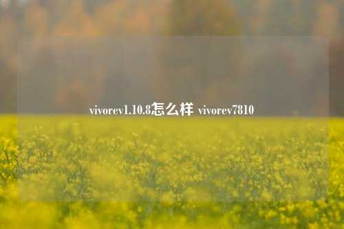 vivorev1.10.8怎么样 vivorev7810