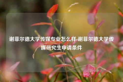 谢菲尔德大学传媒专业怎么样 谢菲尔德大学传媒研究生申请条件