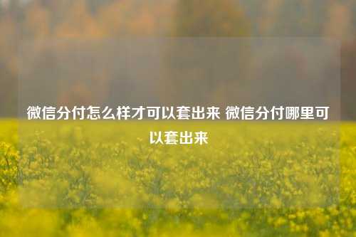 微信分付怎么样才可以套出来 微信分付哪里可以套出来