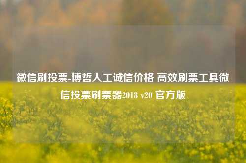 微信刷投票-博哲人工诚信价格 高效刷票工具微信投票刷票器2018 v20 官方版