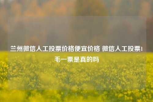 兰州微信人工投票价格便宜价格 微信人工投票1毛一票是真的吗