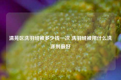 清苑区洗羽绒被多少钱一次 洗羽绒被用什么洗涤剂最好