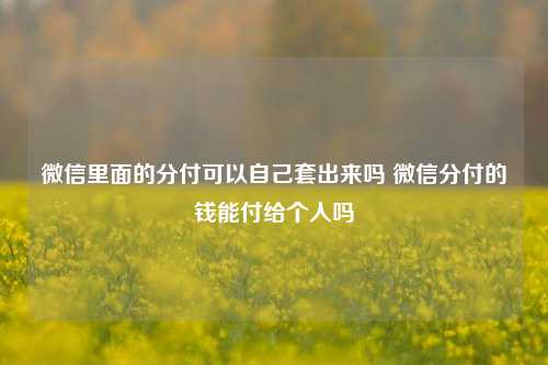 微信里面的分付可以自己套出来吗 微信分付的钱能付给个人吗