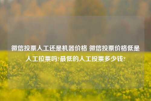 微信投票人工还是机器价格 微信投票价格低是人工拉票吗?最低的人工投票多少钱?