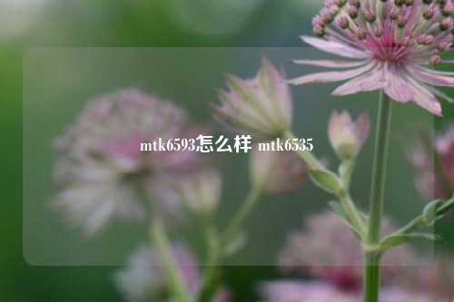 mtk6593怎么样 mtk6535