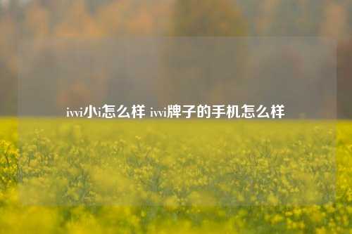 ivvi小i怎么样 ivvi牌子的手机怎么样