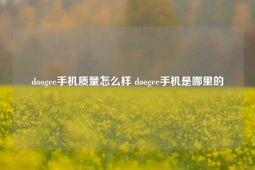 doogee手机质量怎么样 doogee手机是哪里的