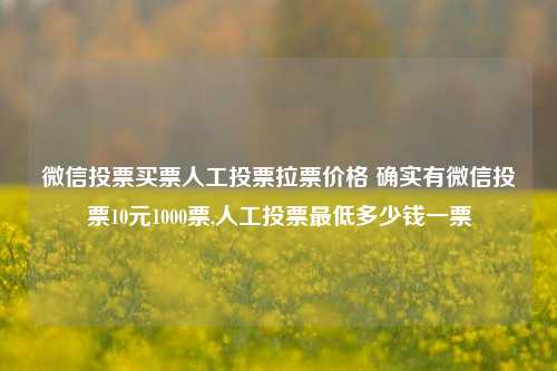 微信投票买票人工投票拉票价格 确实有微信投票10元1000票,人工投票最低多少钱一票