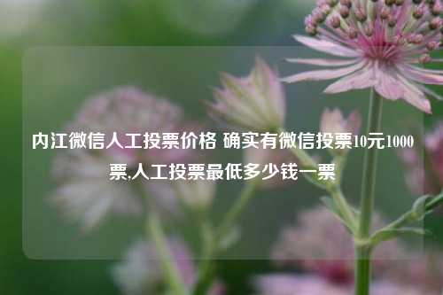 内江微信人工投票价格 确实有微信投票10元1000票,人工投票最低多少钱一票