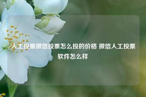 人工投票微信投票怎么投的价格 微信人工投票软件怎么样