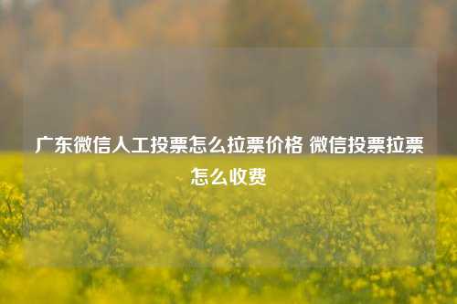 广东微信人工投票怎么拉票价格 微信投票拉票怎么收费