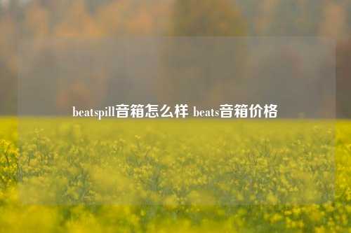 beatspill音箱怎么样 beats音箱价格