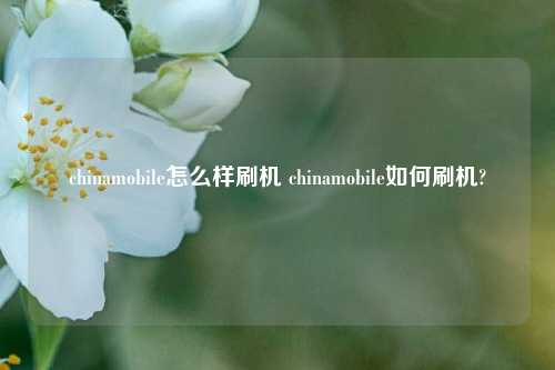 chinamobile怎么样刷机 chinamobile如何刷机?