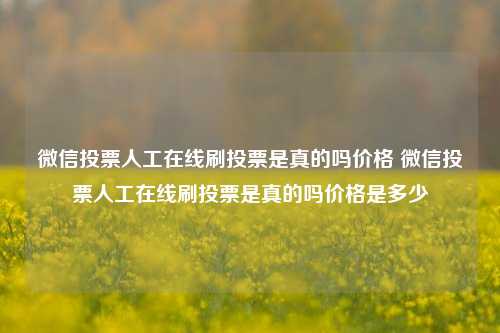 微信投票人工在线刷投票是真的吗价格 微信投票人工在线刷投票是真的吗价格是多少