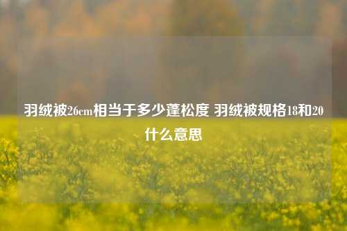 羽绒被26cm相当于多少蓬松度 羽绒被规格18和20什么意思