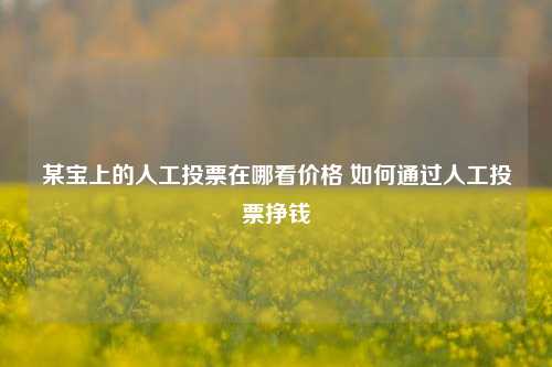 某宝上的人工投票在哪看价格 如何通过人工投票挣钱