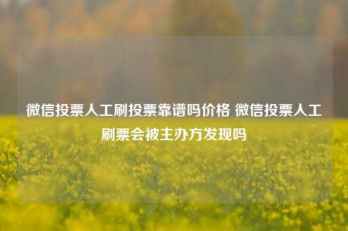 微信投票人工刷投票靠谱吗价格 微信投票人工刷票会被主办方发现吗