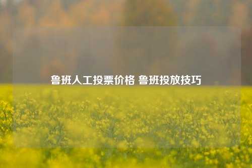 鲁班人工投票价格 鲁班投放技巧