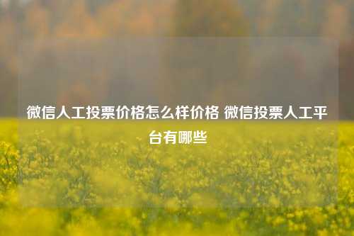 微信人工投票价格怎么样价格 微信投票人工平台有哪些