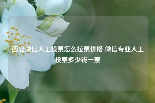 西安微信人工投票怎么拉票价格 微信专业人工投票多少钱一票