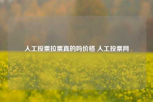 人工投票拉票真的吗价格 人工投票网