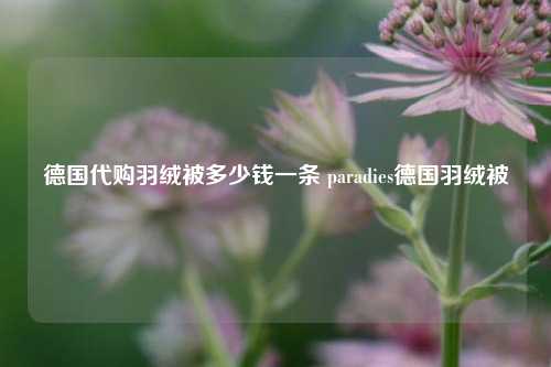 德国代购羽绒被多少钱一条 paradies德国羽绒被