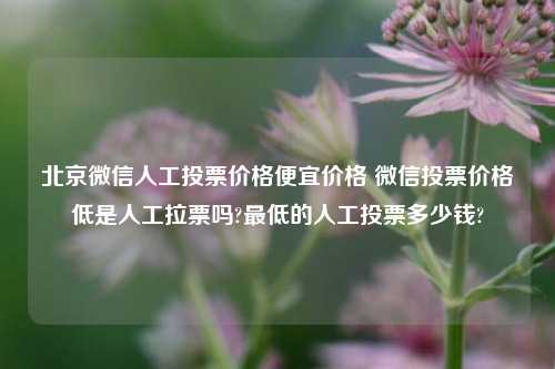 北京微信人工投票价格便宜价格 微信投票价格低是人工拉票吗?最低的人工投票多少钱?