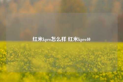 红米kpro怎么样 红米kpro40