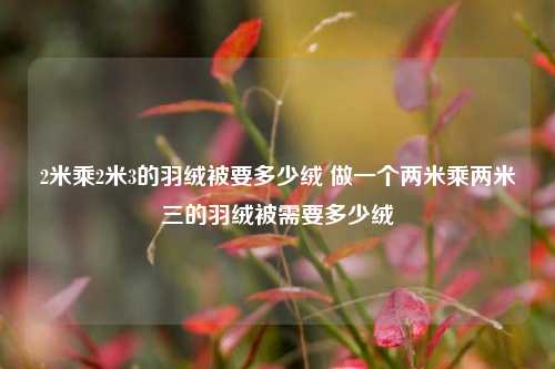 2米乘2米3的羽绒被要多少绒 做一个两米乘两米三的羽绒被需要多少绒