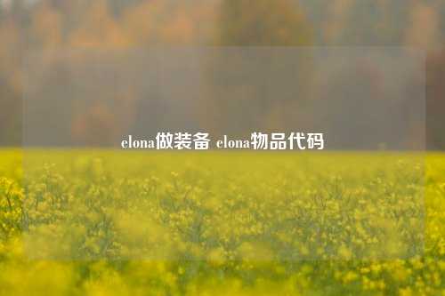 elona做装备 elona物品代码