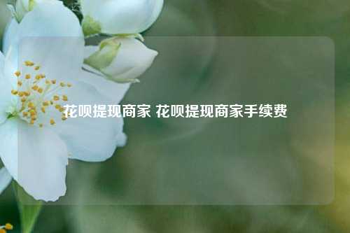 花呗提现商家 花呗提现商家手续费