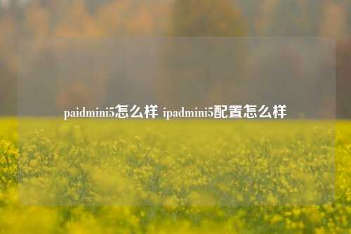 paidmini5怎么样 ipadmini5配置怎么样