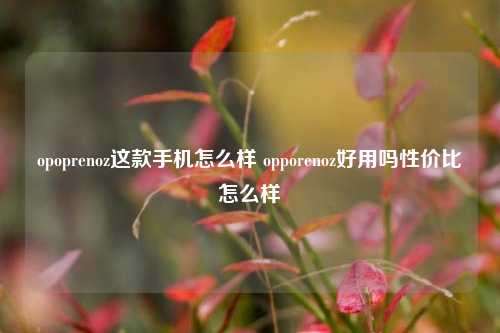 opoprenoz这款手机怎么样 opporenoz好用吗性价比怎么样