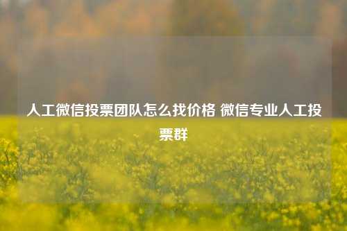 人工微信投票团队怎么找价格 微信专业人工投票群