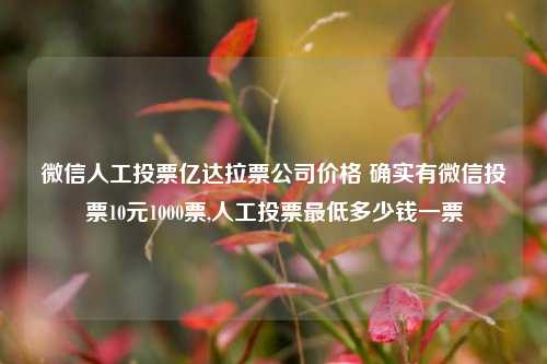 微信人工投票亿达拉票公司价格 确实有微信投票10元1000票,人工投票最低多少钱一票