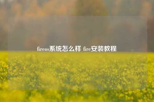 fireos系统怎么样 fire安装教程