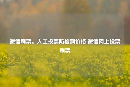 微信刷票。人工投票防检测价格 微信网上投票刷票