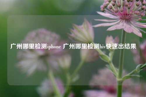 广州哪里检测iphone 广州哪里检测hiv快速出结果