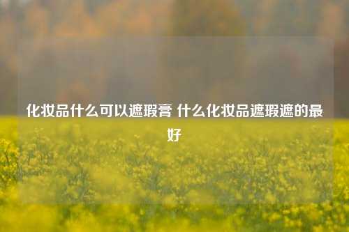 化妆品什么可以遮瑕膏 什么化妆品遮瑕遮的最好