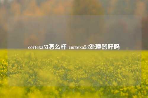 cortexa53怎么样 cortexa53处理器好吗